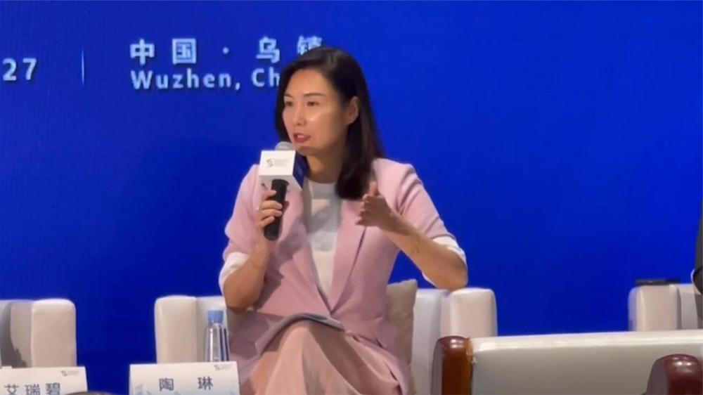 特斯拉陶琳谈某境外企业非法测绘，揭示真相与心灵自然之旅的探寻