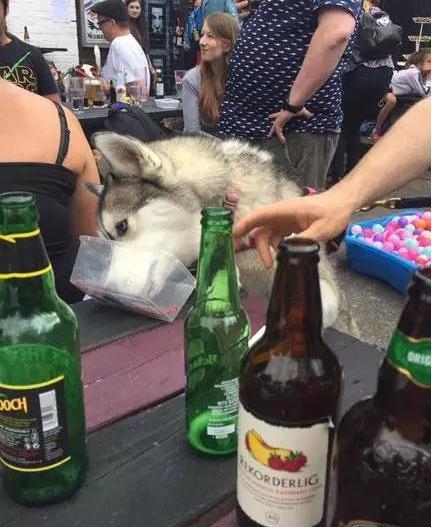 香港烈酒税大幅下调,香港烈酒税大幅下调啦！酒吧狂欢变家庭小聚
