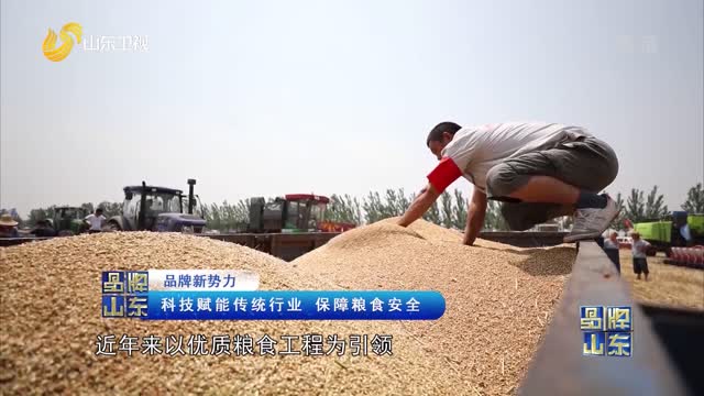 科技守护粮食安全，开启智能新生活，粮稳天下安之道