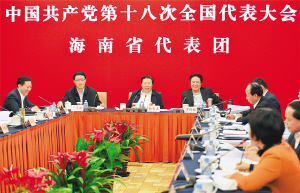 海南反腐最新消息,海南反腐最新消息及其影响，一种观点的分析