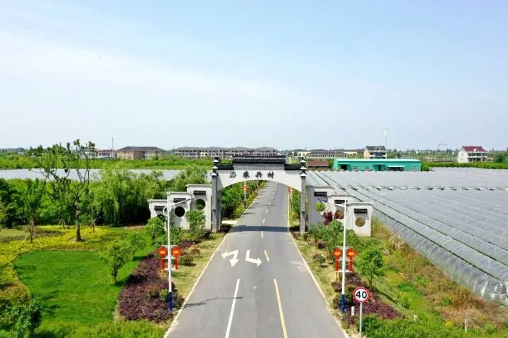 练市镇最新消息,练市镇最新消息及其相关论述