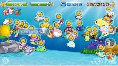 开心水族箱攻略大全，最新水族箱攻略分享