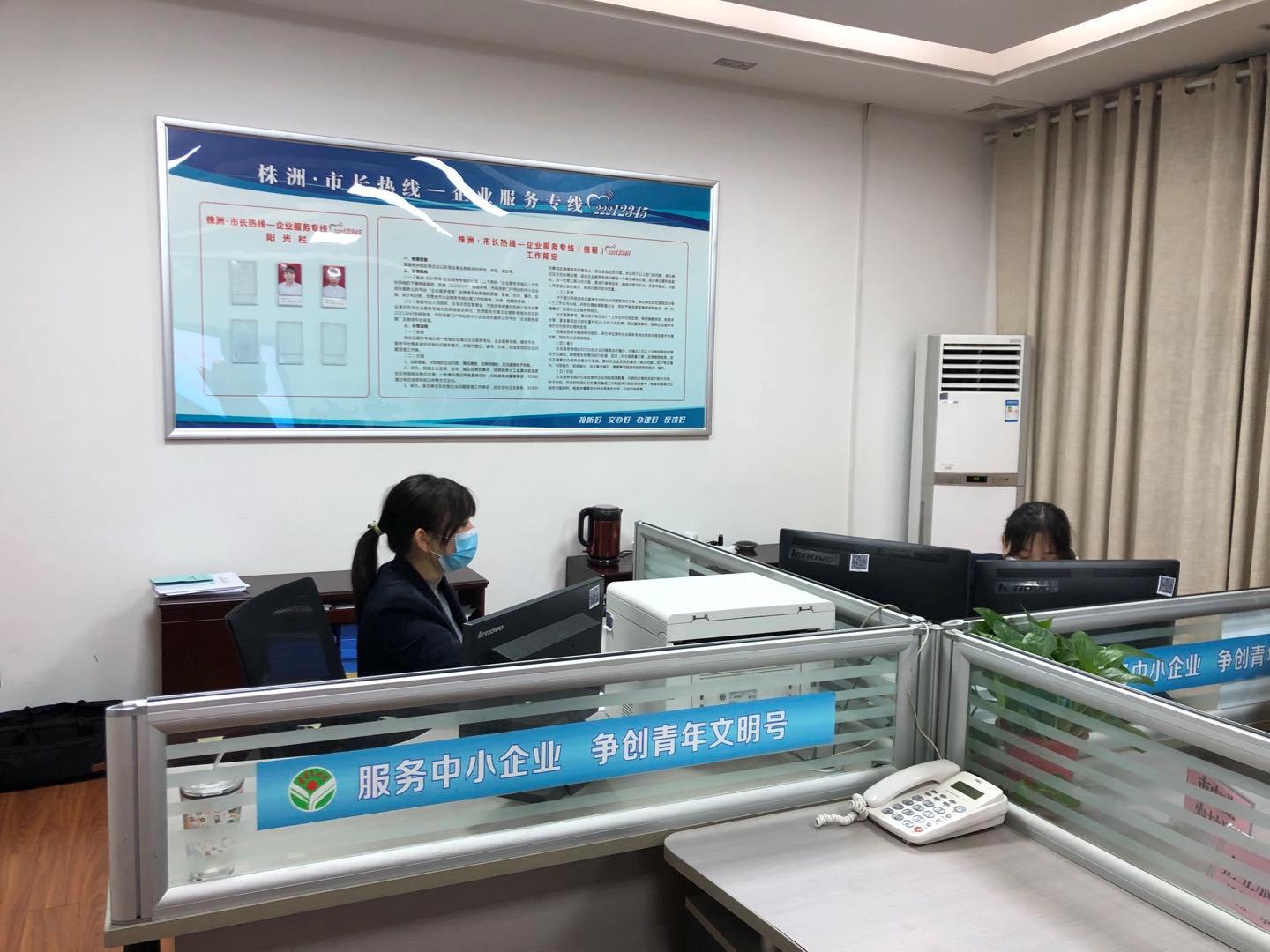 国网改革最新动态一网打尽，更新动态速递🔥