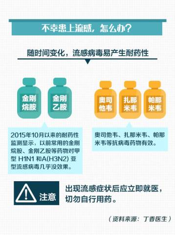 沂源禽流感最新动态，挑战中的励志前行之路