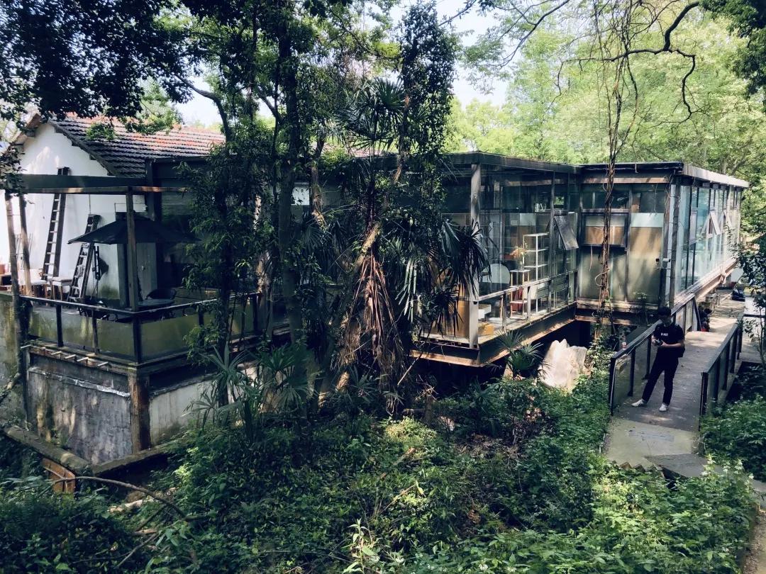 广西高考最新动态与小巷深处的特色小店探秘