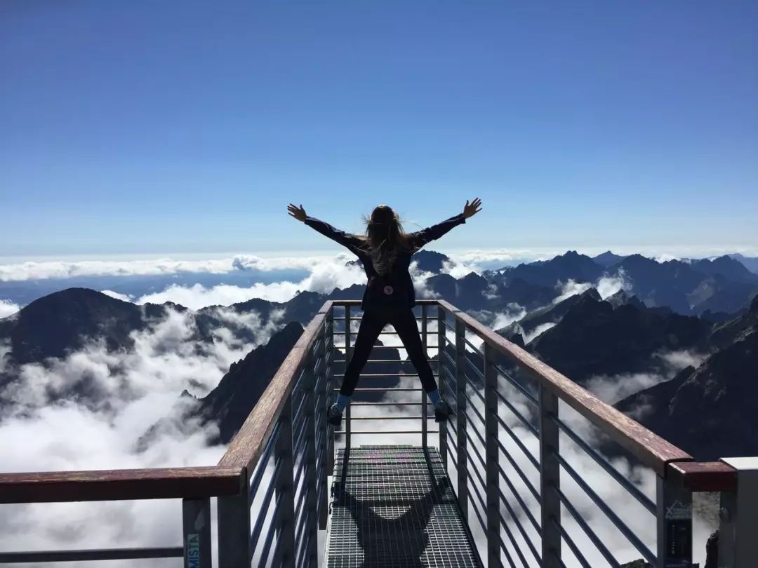 连翅最新价格，自然美景中的旅行探索之旅