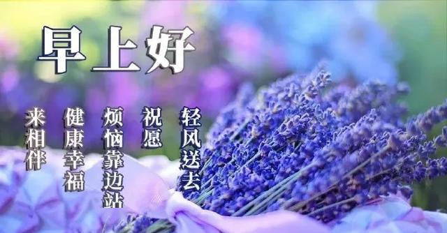 最新早安问候视频，探索自然美景，寻找内心平和宁静的旅行