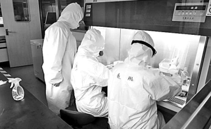 口蹄疫最新科研观点探析与进展报告