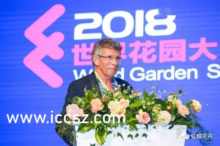 易阳最新写真，时代之光下的璀璨明星风采