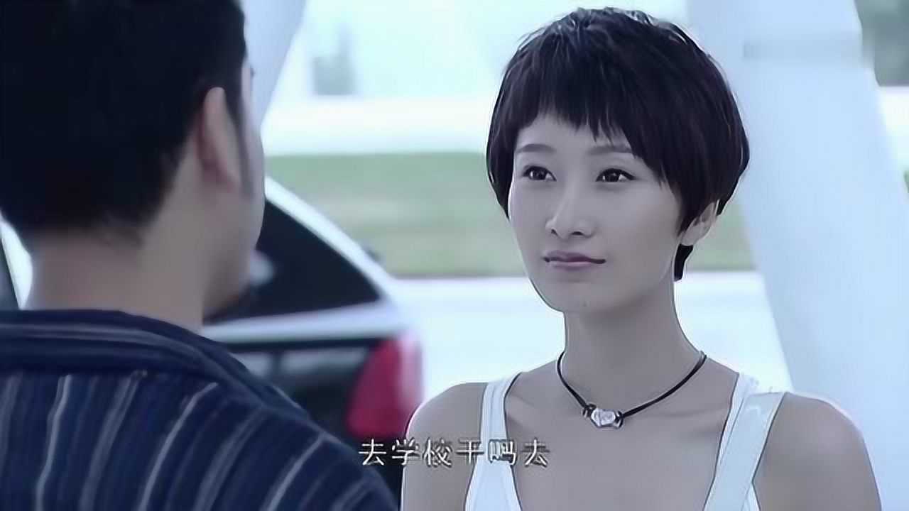 李歆最新小说深度解析与探讨，探索故事背后的世界