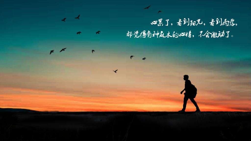 逆风破浪