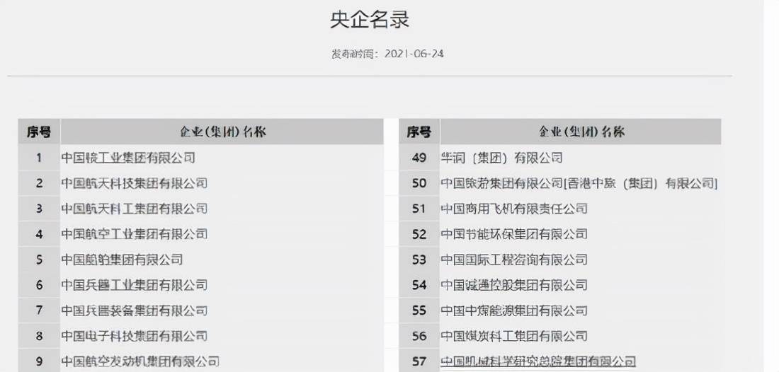 探索小巷深处的宝藏，最新SVN版本与隐藏特色小店的奇妙之旅