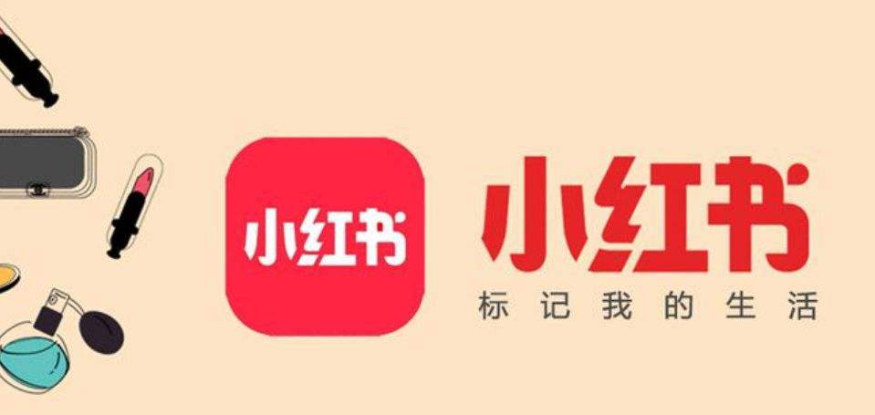 至尊集团最新动态揭秘，小红书上重磅更新！