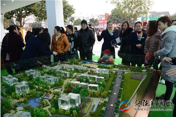 仪陇最新楼盘，科技前沿重塑生活理想
