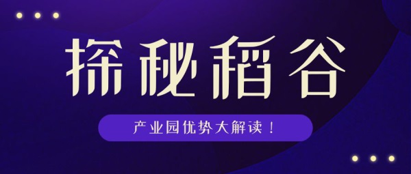 立伟网络科技 第207页