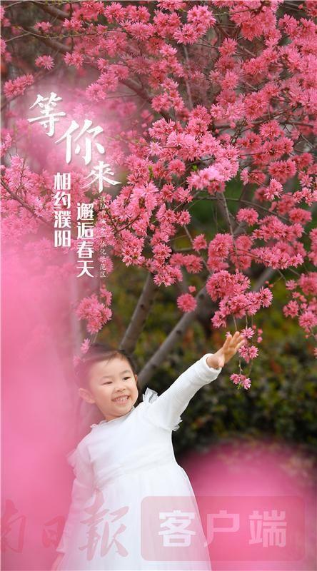 桃花最新章节，寻找内心平静的奇妙之旅