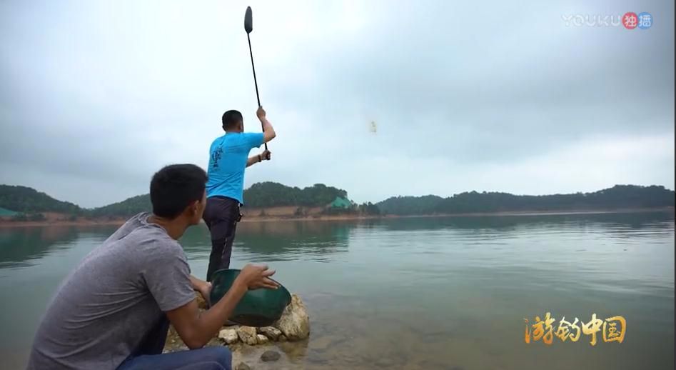 大毛最新钓鱼视频，自然美景探索与轻松垂钓之旅