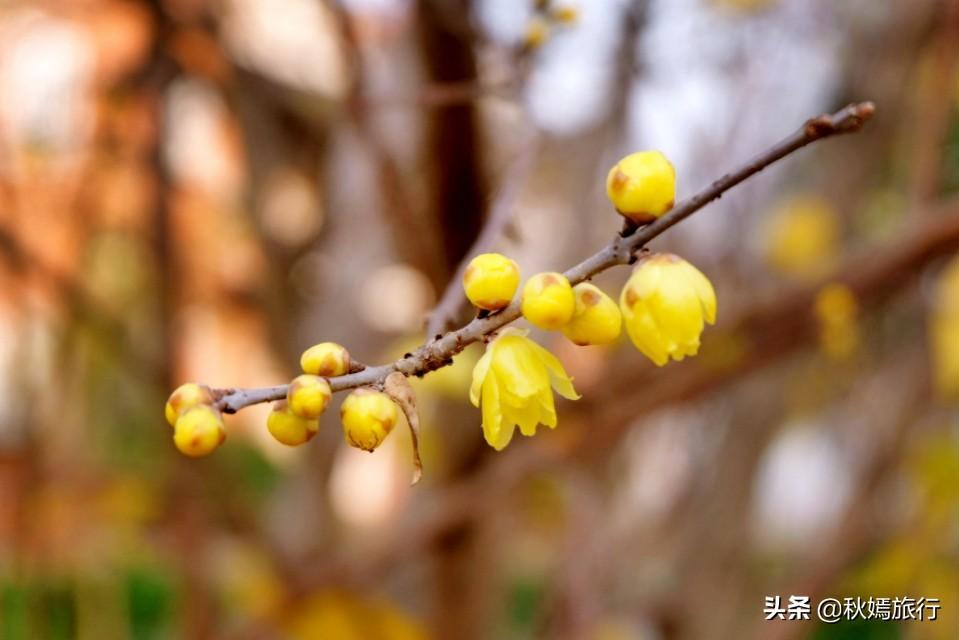 最新财税政策下的自然美景探索之旅，追寻内心的宁静与平和