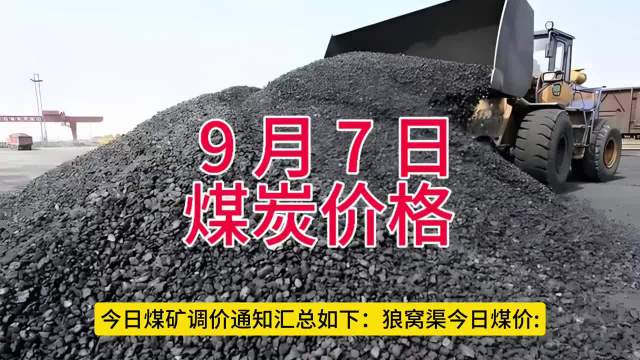 今日煤价实时更新，最新消息与动态分析