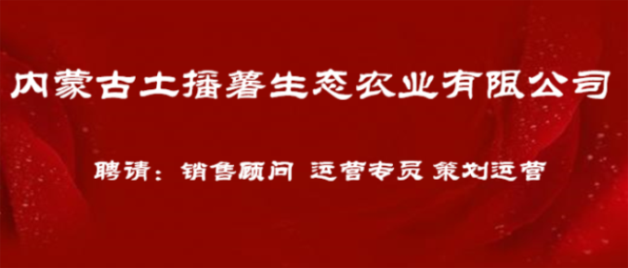 赤峰招聘网最新消息概览，最新招聘信息一网打尽