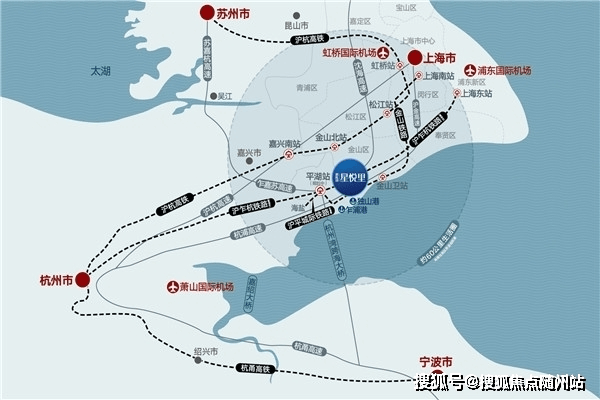 狼色最新观点，深度分析与阐述