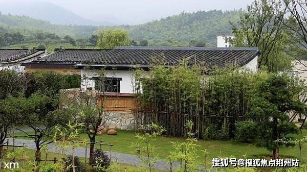 视高最新房价走势，趋势分析、深度解读与未来展望