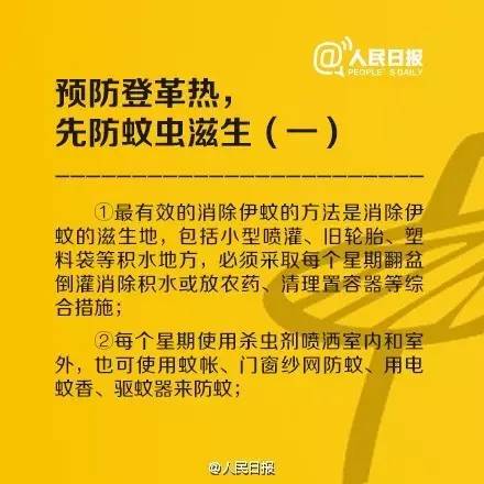 园洲招聘网最新招聘，小巷深处的职业机遇等你来探索！