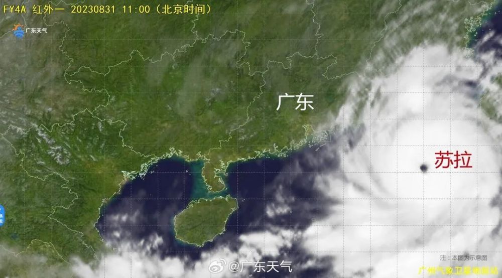 河源台风最新消息揭秘，小巷中的美食瑰宝探索