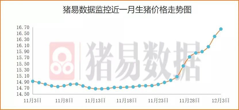 今日猪价最新预测，全面步骤指南及趋势分析