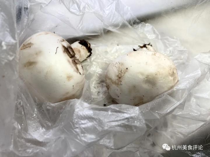 帮呗最新价格，揭示友情的无价价值