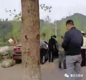 蓬安最新事件概述