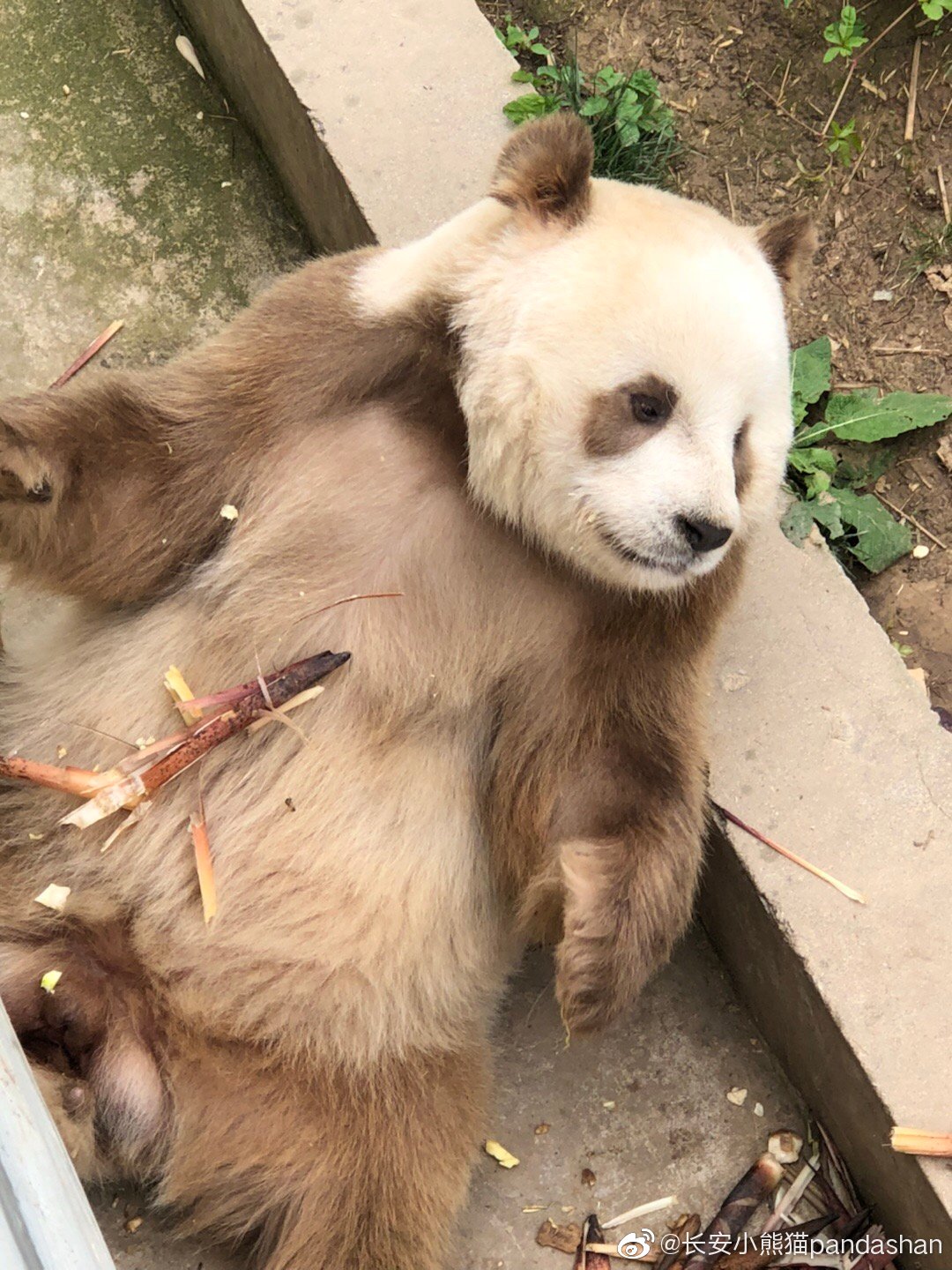 七仔最新照片，励志故事背后的面孔展现