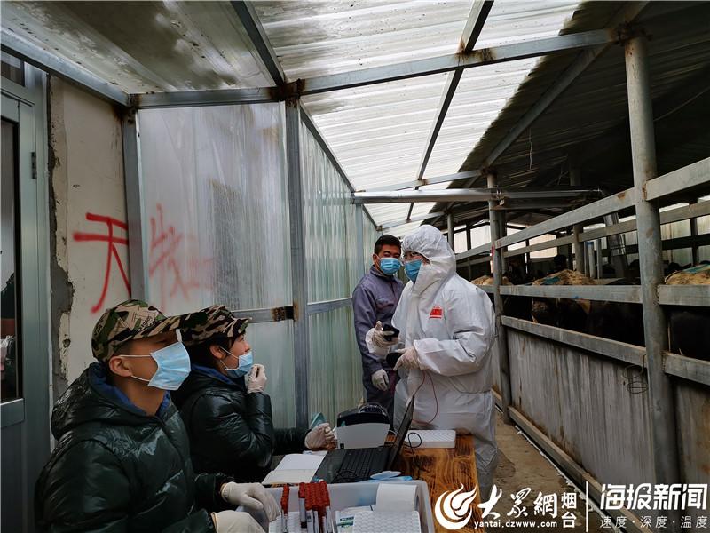 科技革新助力疫情防控，智能护航新生活最新动态