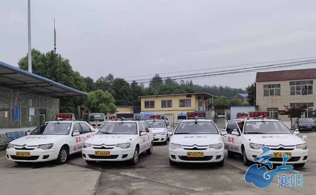 达州驾考最新动态，小巷深处的驾驶梦想实现地