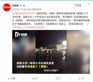 最新视频深度探讨某某观点解析
