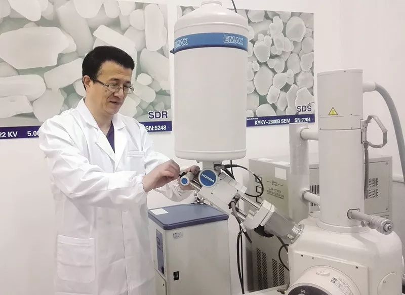 张蒲龄最新动态，科技前沿探索与引领行业创新之路