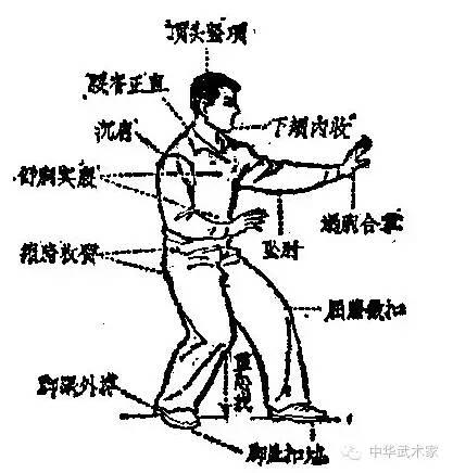 三宫桩演变、应用与未来展望，最新进展概览