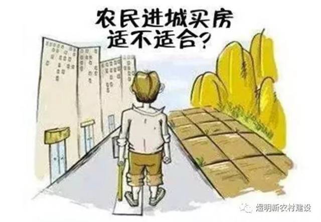 宿州最新动态，城市心跳与友情温暖中的日常趣事