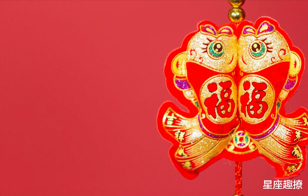 揭秘生肖接福背后的故事，最新事件及其影响分析