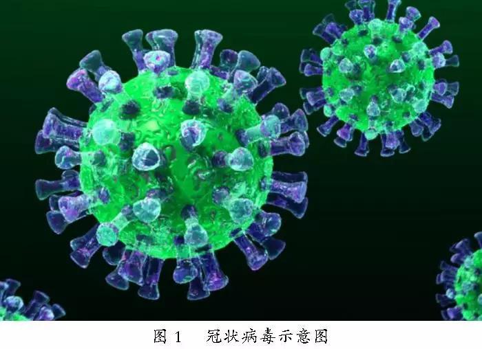 管状病毒最新疫情，背景、进展及影响概述