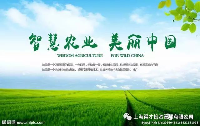 智慧农业最新价格动态与田园温情故事