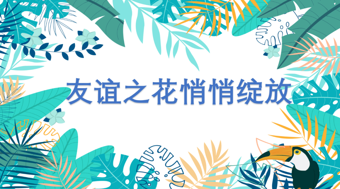 最新短篇散集,最新短篇散集，家的温馨与友情的绽放
