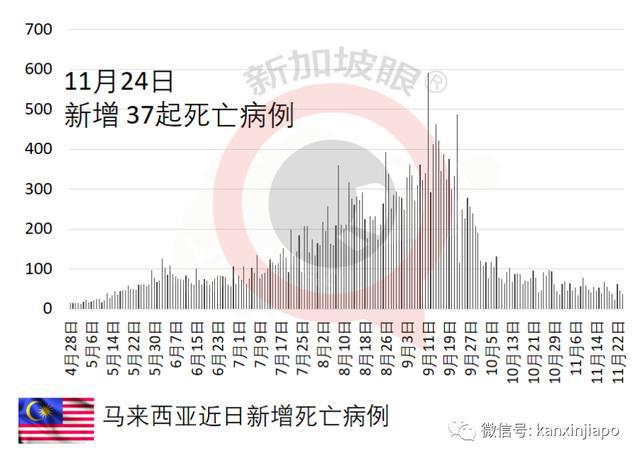 新加坡最新疫情统计，变化、学习与希望之光展望