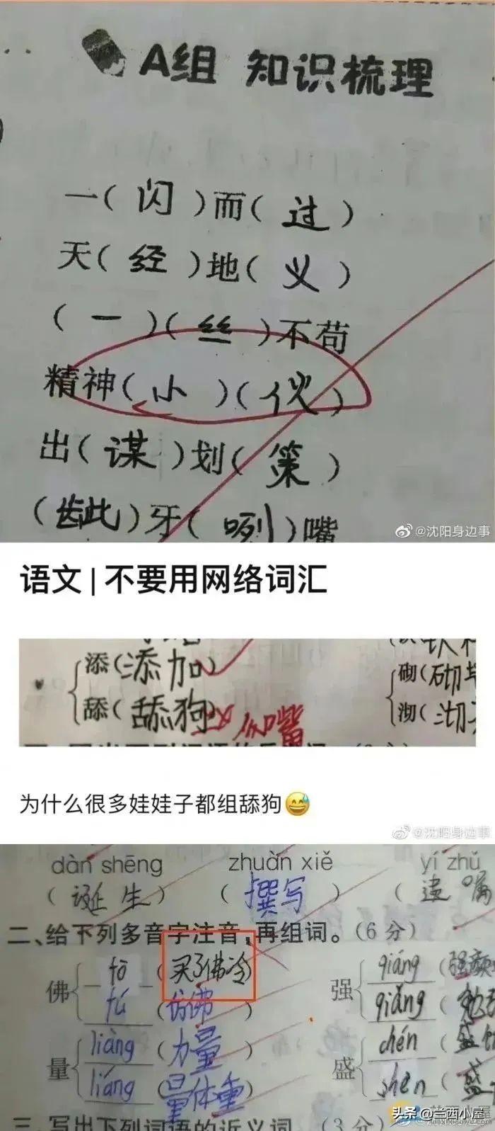 网络热梗演变与影响力揭秘，最新热梗一网打尽！