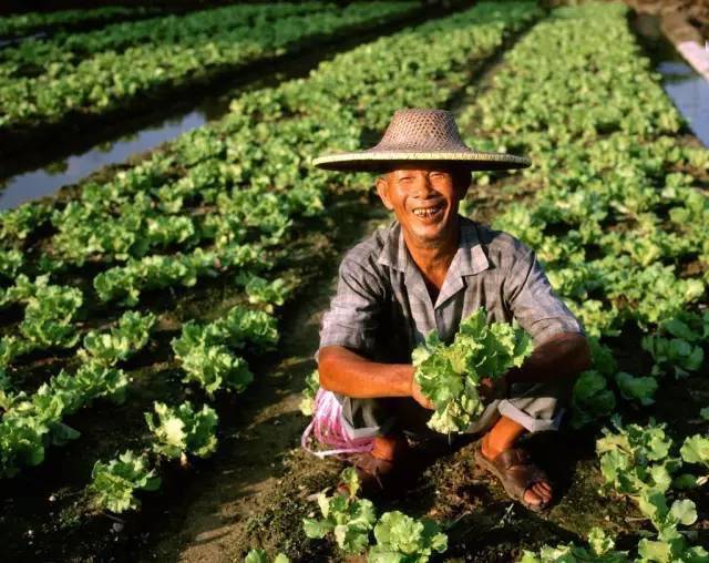农民退休待遇升级，颐养天年的乡村新篇章