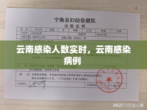 互联网服务 第130页