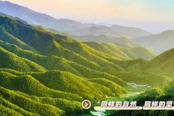 三圣乡探索指南，领略乡村魅力的最新指南