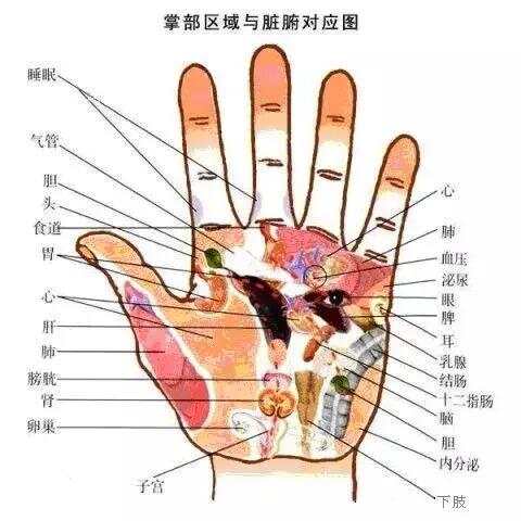 揭秘最新手诊图，解读你的健康密码，洞悉身体状况！