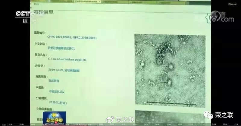 泰国疫情最新动态，科技引领新常态，智能护航新生活