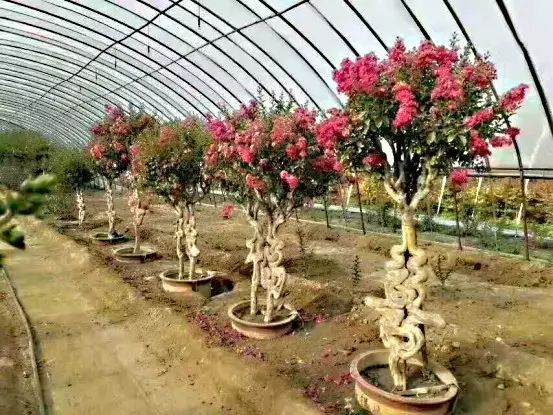 洞悉最新价格动态，掌握市场趋势资讯